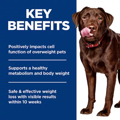 Product Hill's Science Diet Perfect Weight Large Breed Adult Dry Dog Food - Chicken