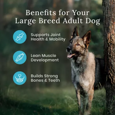 Product Blue Buffalo® Wilderness™ Large Breed Adult Dry Dog Food - Natural, High Protein, Chicken