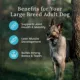 Product Blue Buffalo® Wilderness™ Large Breed Adult Dry Dog Food - Natural, High Protein, Chicken