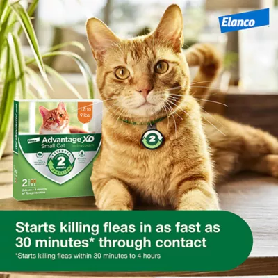 Product Advantage® XD 1.8-9 lbs Small Cat Flea Prevention & Treatment