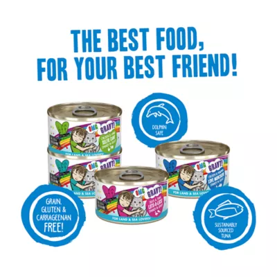 Product B.F.F. OMG Gravy! For Land & Sea Lovers It's Gravy, Baby! Wet Cat Food - Variety Pack, 12 ct
