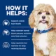 Product Hill's Prescription Diet h/d Adult Dry Dog Food - Heart Health, Chicken