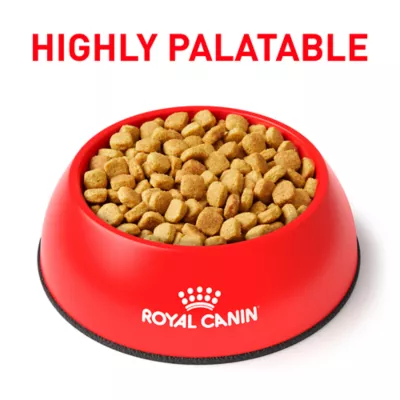 Product Royal Canin® Veterinary Diet Canine Hydrolyzed Protein Moderate Calorie Adult Dry Dog Food