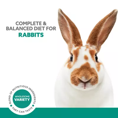 Product Full Cheeks™ Rabbit Foraging Food