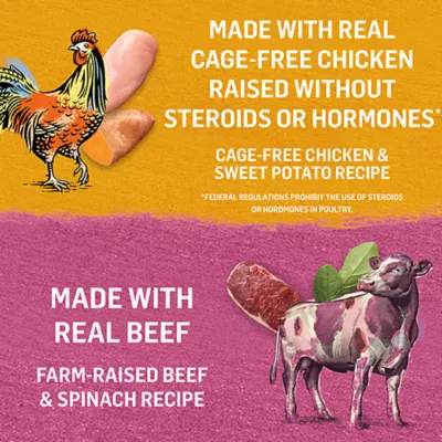 Product Beyond In Gravy, Wet Dog Food - Beef & Chichen Variety Pack, 354 g x 6