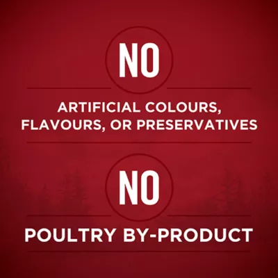 Product Purina ONE True Instinct Wet Dog Food, Tender Cuts in Gravy with Beef & Bison, 368 g