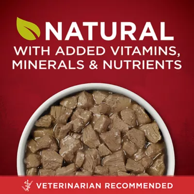 Product Purina ONE True Instinct Wet Dog Food, Tender Cuts in Gravy with Beef & Bison, 368 g