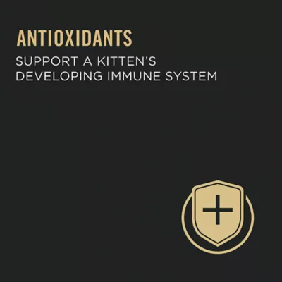 Product Purina Pro Plan Ocean Whitefish & Tuna Entrée, Wet Kitten Food