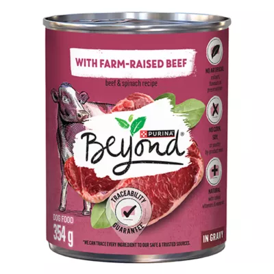 Product Beyond Wet Dog Food In Gravy - Farm-Raised Beef & Spinach Recipe, 354 g