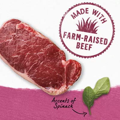Product Beyond Wet Dog Food In Gravy - Farm-Raised Beef & Spinach Recipe, 354 g