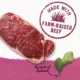 Product Beyond Wet Dog Food In Gravy - Farm-Raised Beef & Spinach Recipe, 354 g