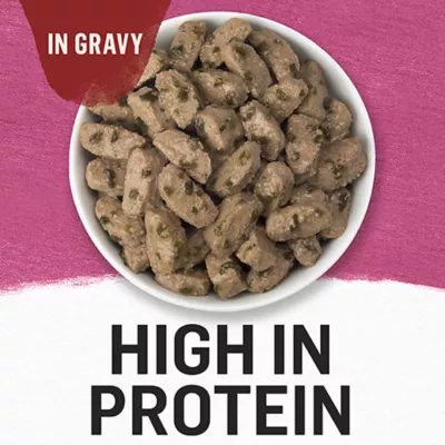 Product Beyond Wet Dog Food In Gravy - Farm-Raised Beef & Spinach Recipe, 354 g