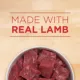 Product Purina ONE +Plus Classic Wet Puppy Food - Lamb & Long Grain Rice Entrée, 368 g