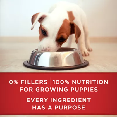 Product Purina ONE +Plus Classic Wet Puppy Food - Lamb & Long Grain Rice Entrée, 368 g