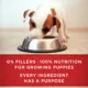Product Purina ONE +Plus Classic Wet Puppy Food - Lamb & Long Grain Rice Entrée, 368 g