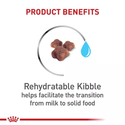 Product Royal Canin Dry Cat Food, Feline Health Nutrition - Mother & Babycat Queen