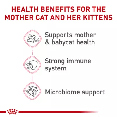 Product Royal Canin Dry Cat Food, Feline Health Nutrition - Mother & Babycat Queen