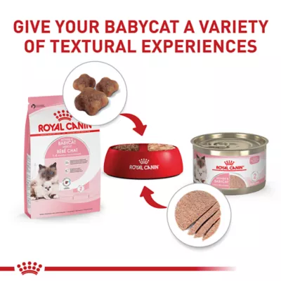 Product Royal Canin Dry Cat Food, Feline Health Nutrition - Mother & Babycat Queen