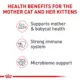 Product Royal Canin Dry Cat Food, Feline Health Nutrition - Mother & Babycat Queen