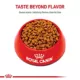 Product Royal Canin Feline Kitten Dry Cat Food, Health Nutrition for Kittens