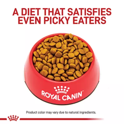 Product Royal Canin Veterinary Diet Skintopic Medium & Large Breed Adult Dry Dog Food