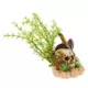Product Top Fin® Treasure Skull with Plant Combo Aquarium Ornament