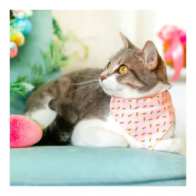 Product Made By Cleo Bandana- Pink Bunnies