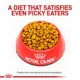Product Royal Canin® Veterinary Diet Feline Gastrointestinal Moderate Calorie Adult Dry Cat Food