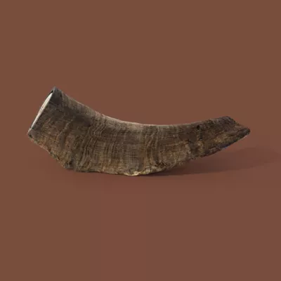 Product ROAM Exotics Goat Horn Adult Dog Chew Treat