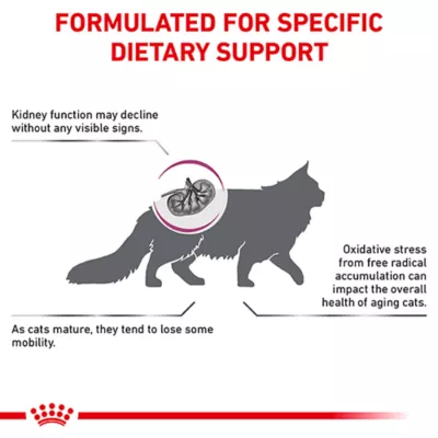 Product Royal Canin® Veterinary Diet Feline Early Consult Renal Support Adult Dry Cat Food
