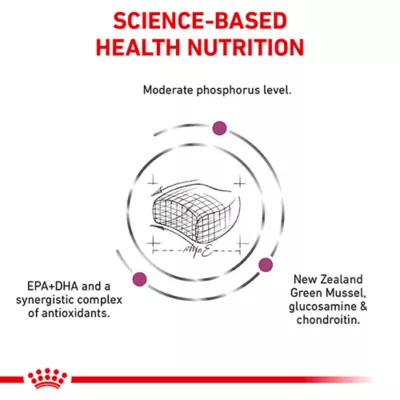 Product Royal Canin® Veterinary Diet Feline Early Consult Renal Support Adult Dry Cat Food