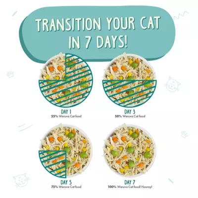 Product Weruva Classics Wet Cat Food - Shreds in Pumpkin Soup, 5.5 OZ