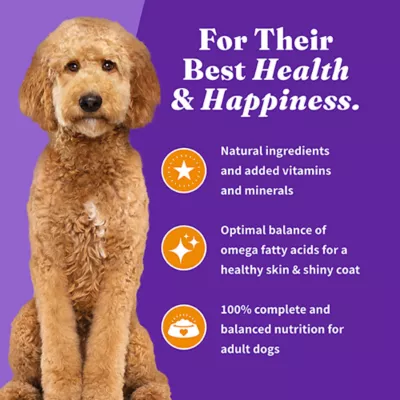 Product Halo Holistic Healthy Grains, Small Breed Adult Dry Dog Food - Chicken & Brown Rice Recipe