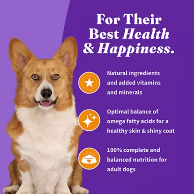 Product Halo Holistic Grain Free, Small Breed Adult Dry Dog Food - Chicken & Sweet Potato Recipe, 10 lb