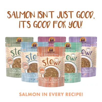Product Weruva Stew! Wet Cat Food - Minced in Gravy, 3 OZ