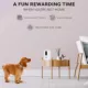 Product Instachew Purechew Snack Automatic Pet Feeder