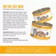 Product Weruva TruLuxe Wet Cat Food - Shreds in Pumpkin Soup, 3 OZ