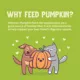 Product Weruva Pumpkin Patch Up! Supplement for Cats and Dogs - Digestive Support, Pureed Pumpkin, 2.8 OZ