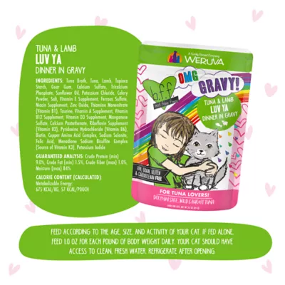 Product Weruva B.F.F. OMG Gravy! For Tuna Lovers Wet Cat Food - Minced in Gravy, 3 OZ