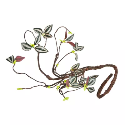 Product Thrive Tropical Climbing Vine