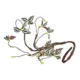 Product Thrive Tropical Climbing Vine