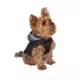 Product Hip Doggie Hooded Black & Tan Plaid Reversible Dog Raincoat