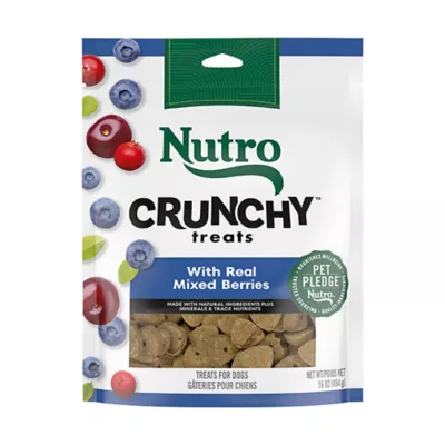 Product NUTRO Crunchy Adult Dog Treats - Mixed Berry