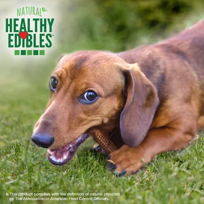 Product Nylabone Healthy Edibles® Meaty Center Adult Dog Chew Treats-Beef, Long Lasting