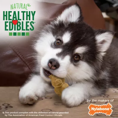 Product Nylabone® Healthy Edibles® Puppy Chew Dog Treats - Lamb & Apple