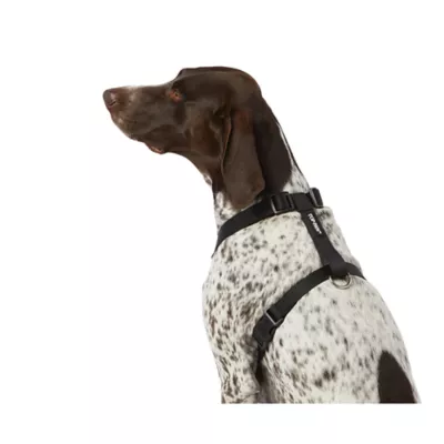Product Top Paw® Basic Nylon Dog Harness