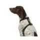 Product Top Paw® Basic Nylon Dog Harness