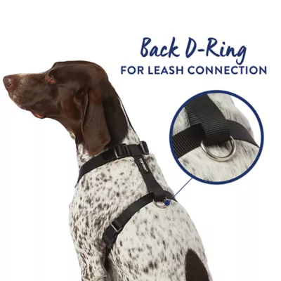 Product Top Paw® Basic Nylon Dog Harness