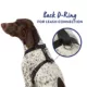 Product Top Paw® Basic Nylon Dog Harness