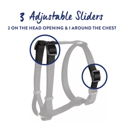 Product Top Paw® Basic Nylon Dog Harness